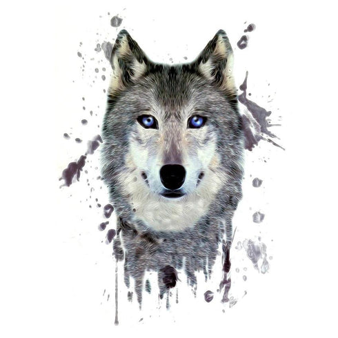 Tatouage Loup Petit Loup